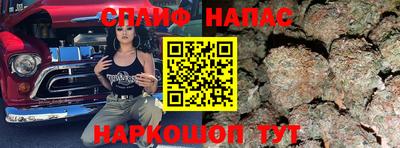 эйфоретик Обь